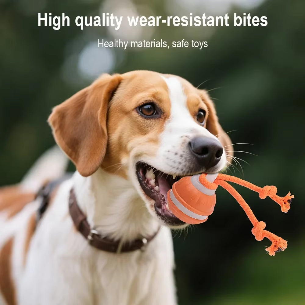 Interactive Rechargeable Rolling Ball Toy for Cats and Dogs with Faux Tail - Smart Electric Pet Training Device Mimicking Mouse Behavior