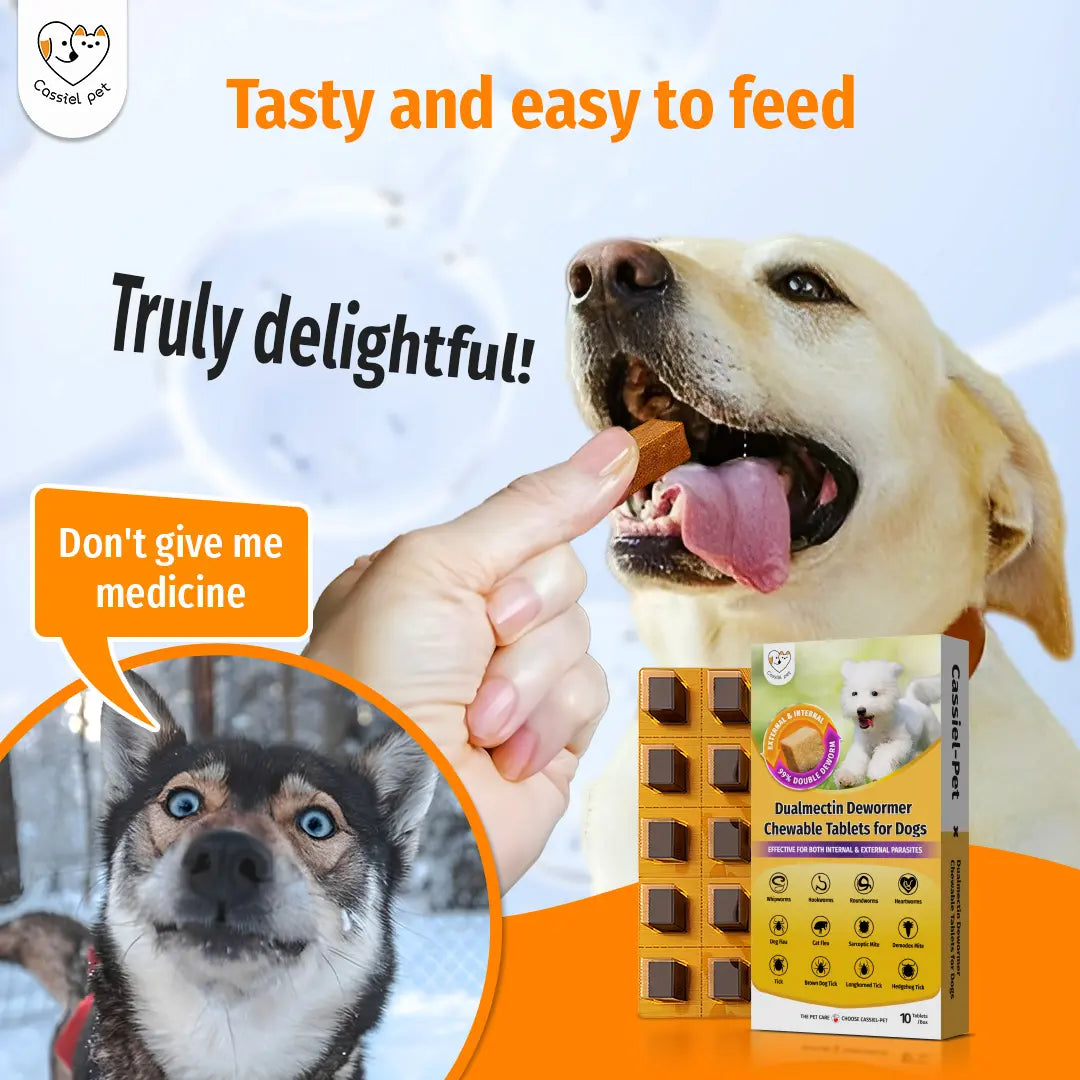 Cassicel-Pet Natural Dog Parasite Support Chews - Herbal Deworming Treats with Chicken Flavor for Digestive, Skin, and Immune Health Support