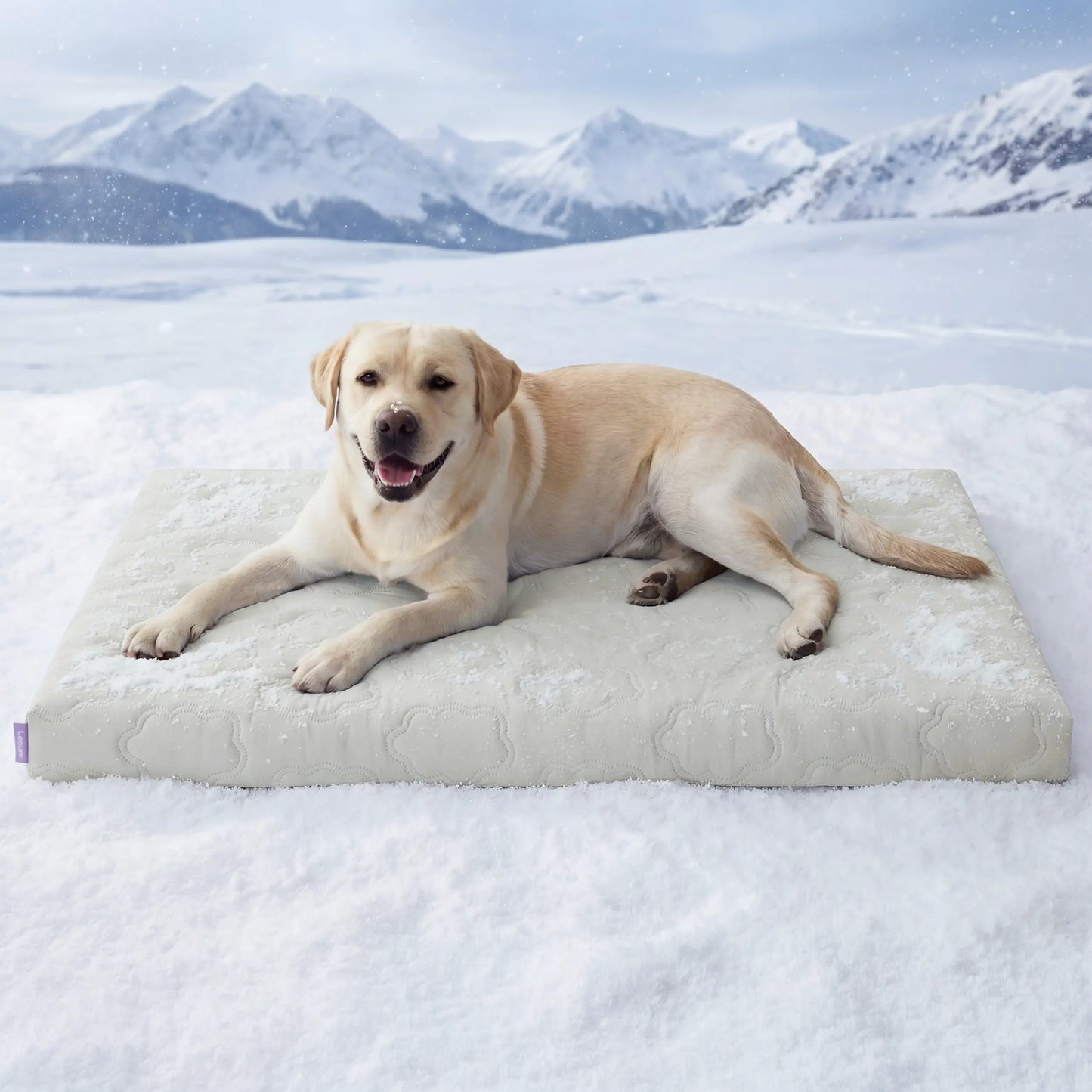 Bedsure Non-Slip Washable Cooling Mat for Large Dogs – Q-MAX>0.4 Summer Crate Bed, No Gel or Electricity Required