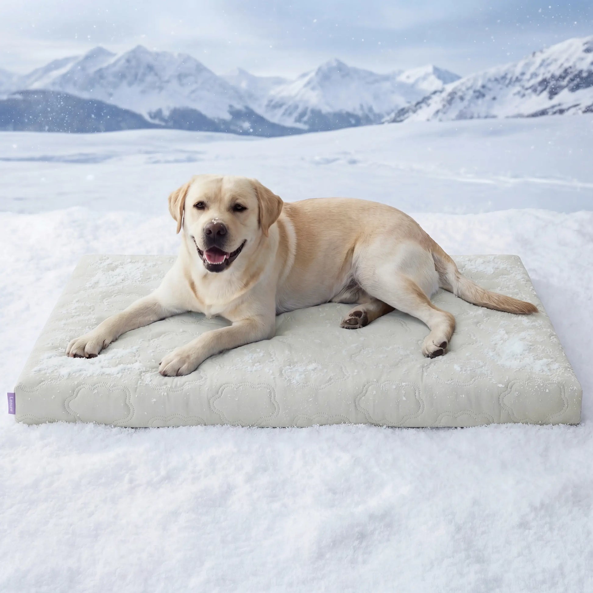 Bedsure Non-Slip Washable Cooling Mat for Large Dogs – Q-MAX>0.4 Summer Crate Bed, No Gel or Electricity Required