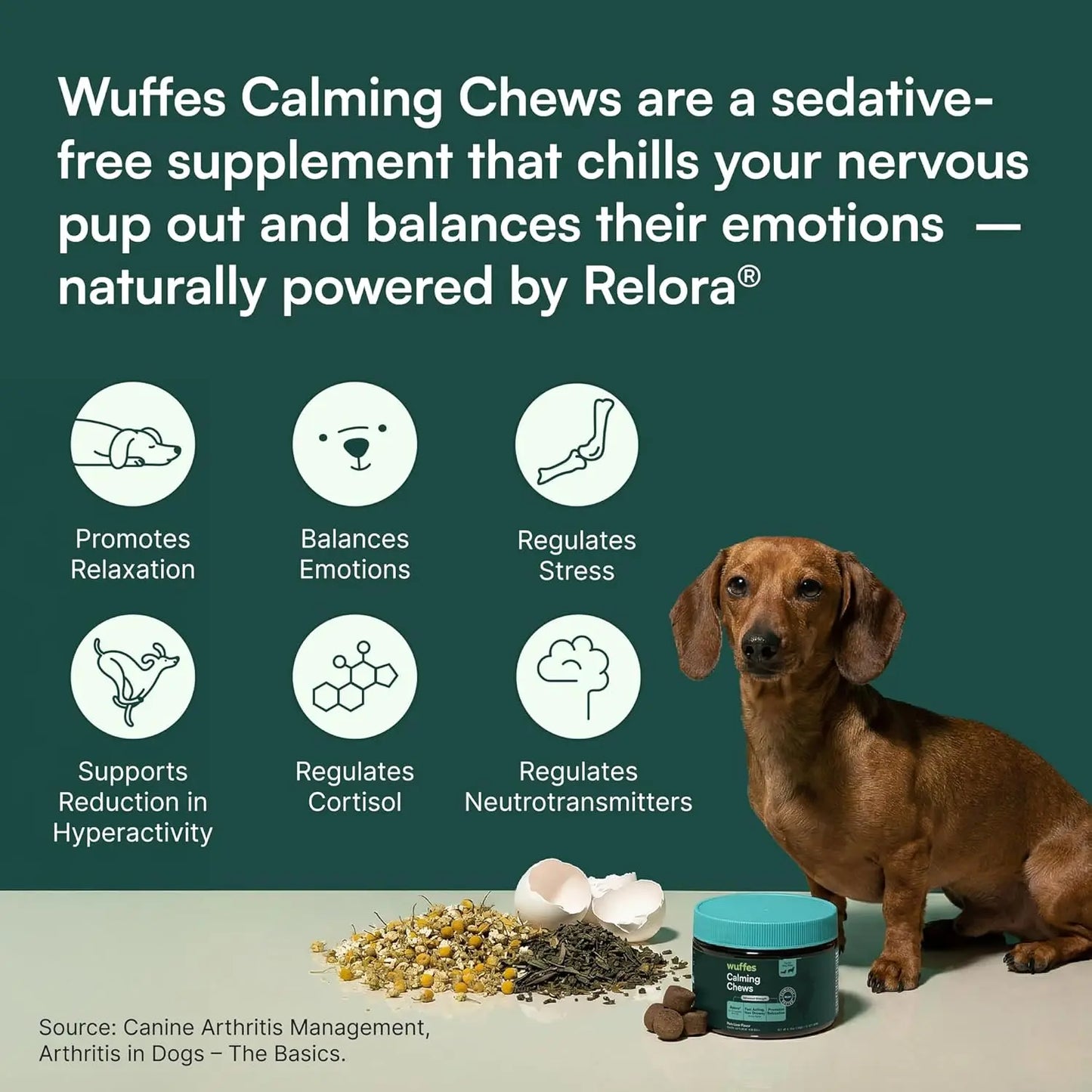 Wuffes Calming Chews for Dogs - Stress Support Supplement - Non-Drowsy Relief for All Breeds - Made in the USA - 60 Soft Chews