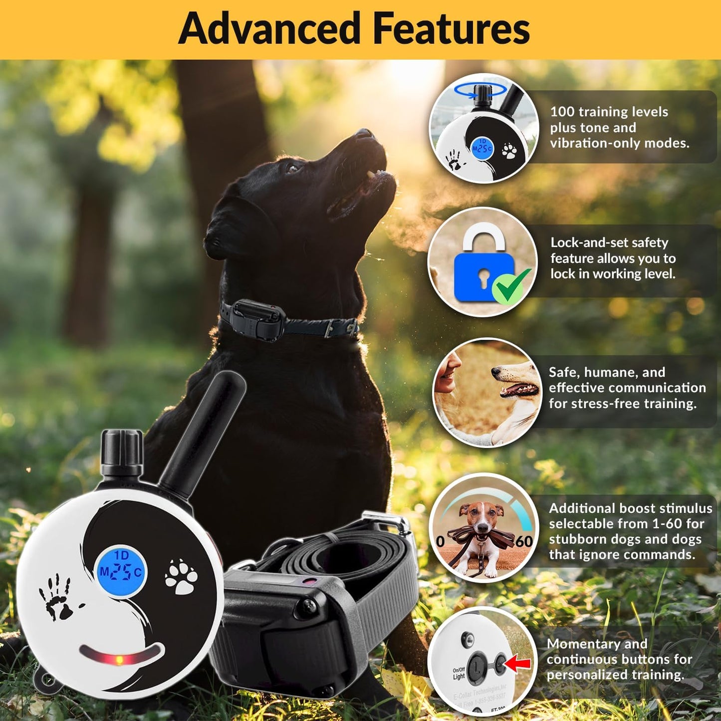 Rechargeable E-Collar Dog Training System with Remote and Clicker for Small to Medium Dogs, Humane Tapping Stimulation, 100 Levels, Tone, Light, 1/2 Mile Range, Single Dog Use, Zen Series