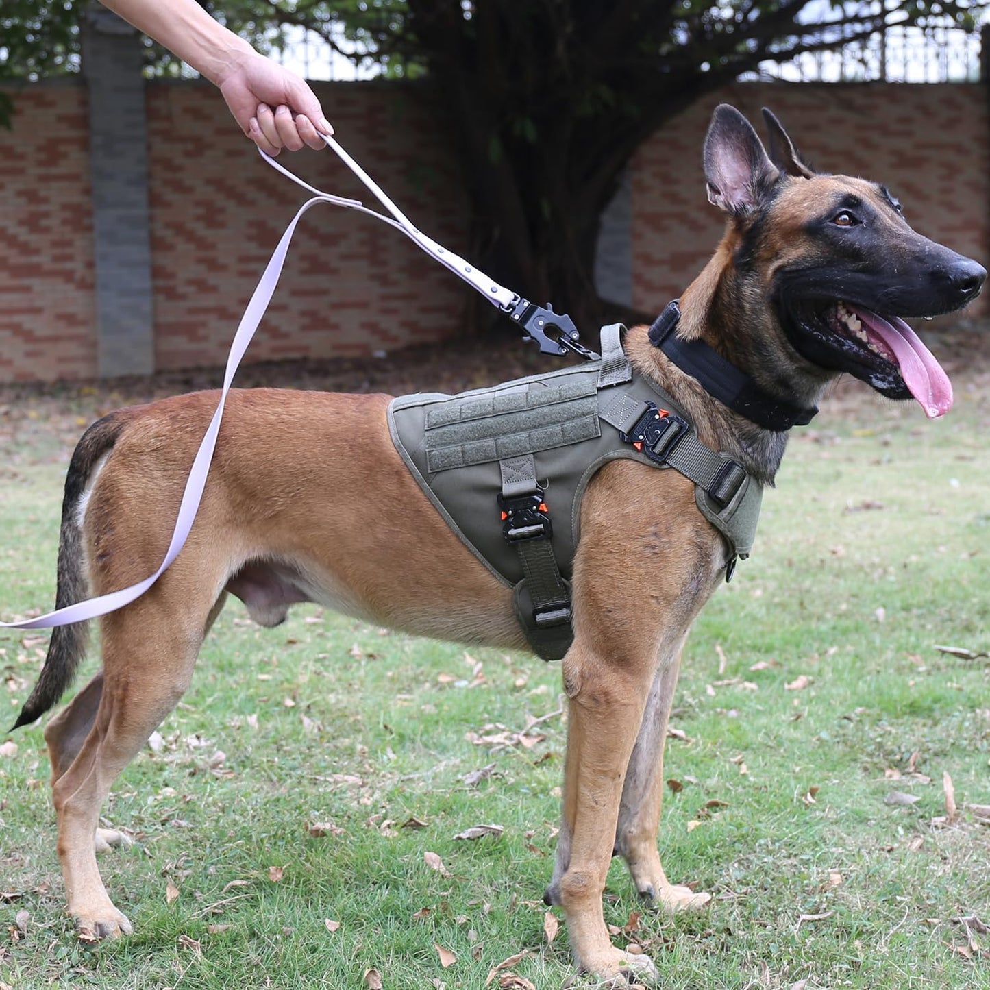 Tactical Dog Harness for Large Breeds - MOLLE K9 Vest with Four Metal Buckles, No-Pull Front Clip, Adjustable Handle, Green (Size L: 28"-35" Chest)