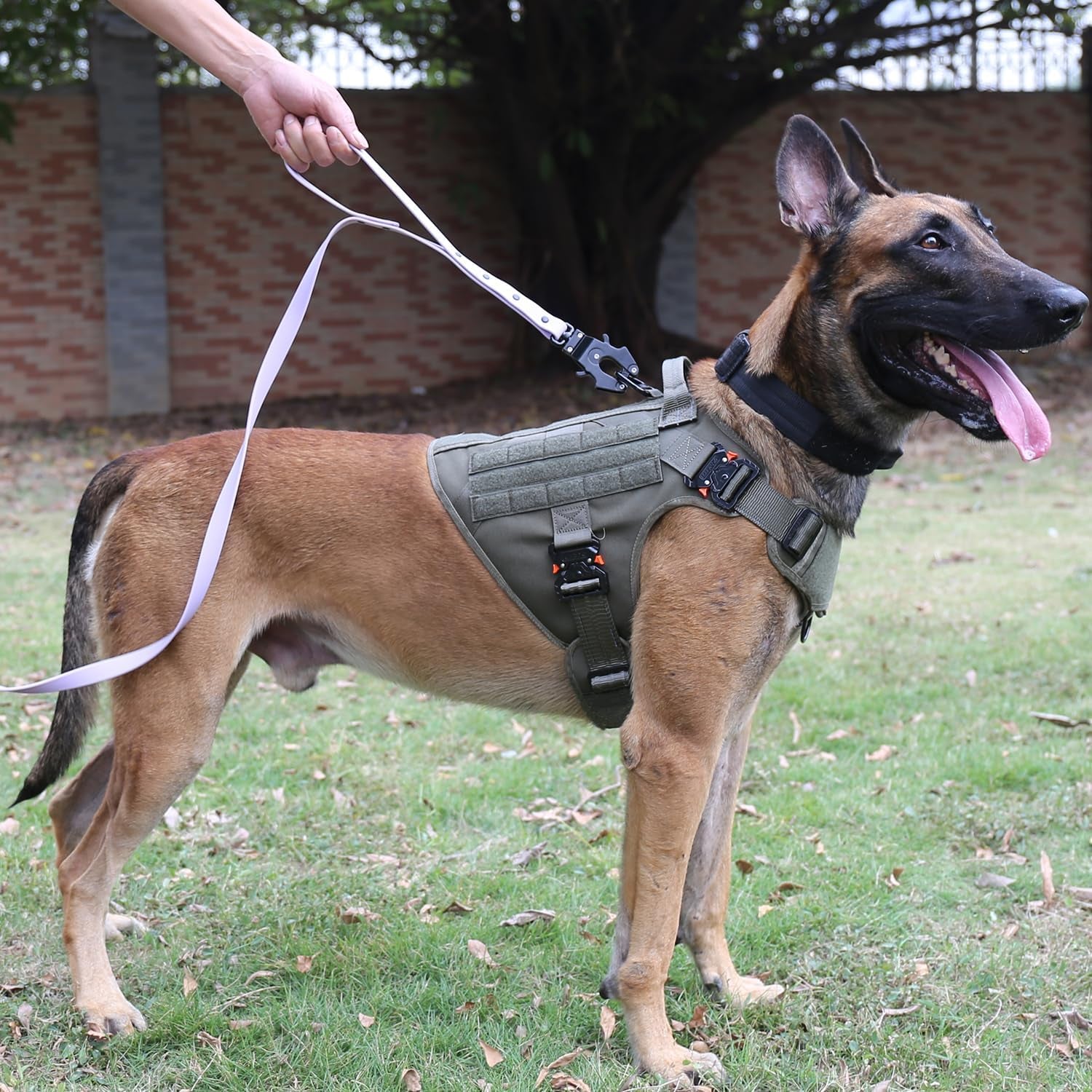 Tactical Dog Harness for Large Breeds - MOLLE K9 Vest with Four Metal Buckles, No-Pull Front Clip, Adjustable Handle, Green (Size L: 28"-35" Chest)