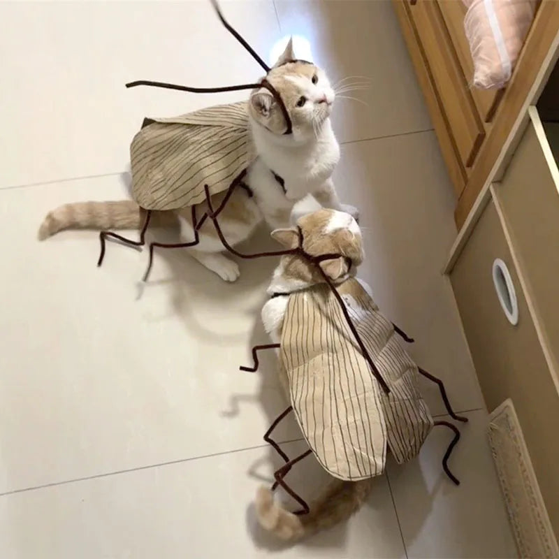 Realistic Cockroach Cat Costume with Detachable Wings - Humorous Cat Outfit for Cosplay and Dress-Up DIY Kit