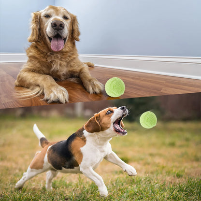Interactive Electric Rolling Ball Toy for Cats - Plush Squeaky Balls for Indoor Playtime