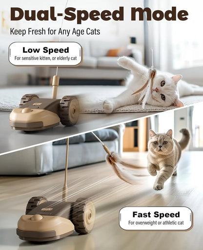 3-in-1 Interactive Cat Toy with Automatic Moving Mouse, Two-Speed Settings, Hanging Feather Ribbons, and Wiggly Silicone Tail for Indoor Cats and Kittens