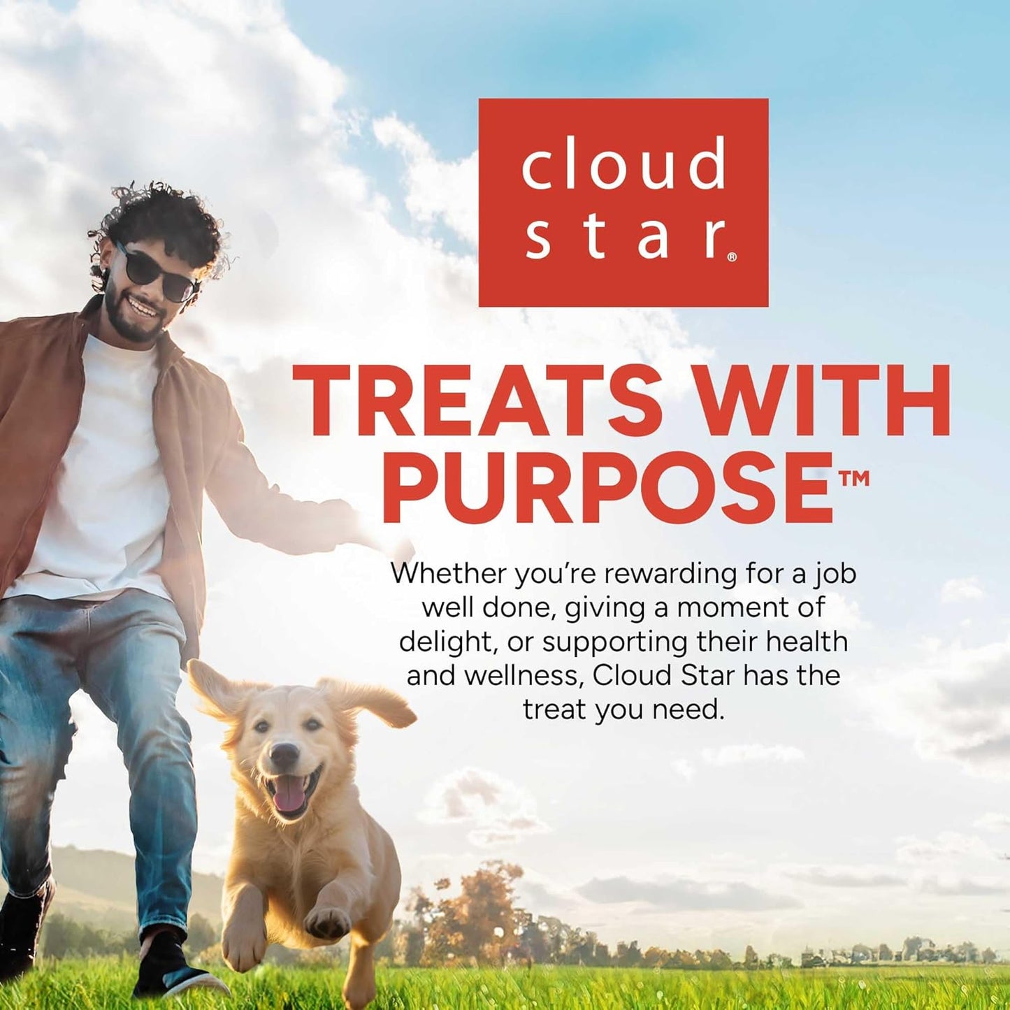 10 Oz. Pouch of Chicken Flavor Mini Soft & Chewy Training Rewards, 500 Treats per Bag, Preferred by Leading Trainers