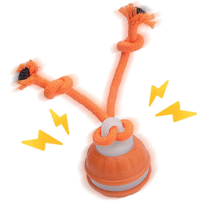 Interactive Rechargeable Rolling Ball Toy for Cats and Dogs with Faux Tail - Smart Electric Pet Training Device Mimicking Mouse Behavior