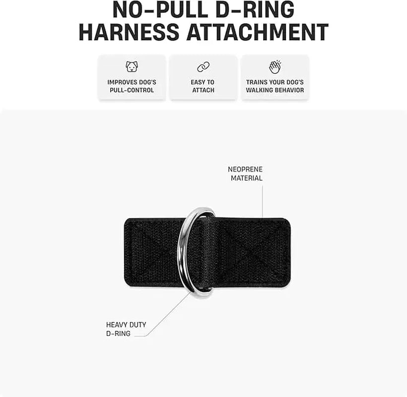 Dog Friendly Co. No-Pull Harness with D-Ring and Bungee Leash