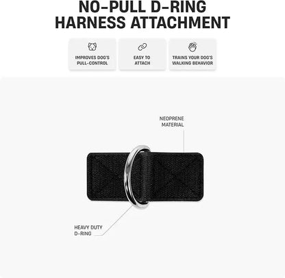 Dog Friendly Co. No-Pull Harness with D-Ring and Bungee Leash