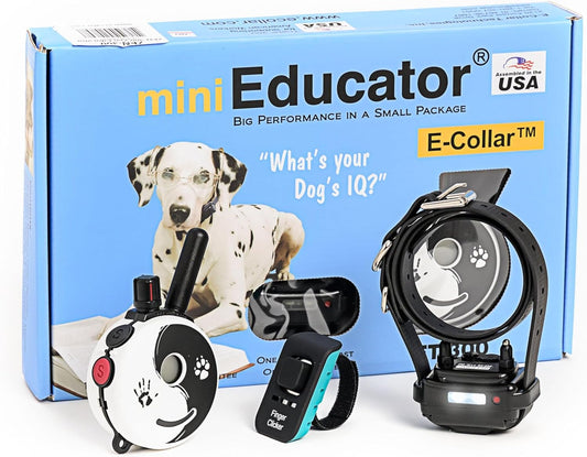 Rechargeable E-Collar Dog Training System with Remote and Clicker for Small to Medium Dogs, Humane Tapping Stimulation, 100 Levels, Tone, Light, 1/2 Mile Range, Single Dog Use, Zen Series