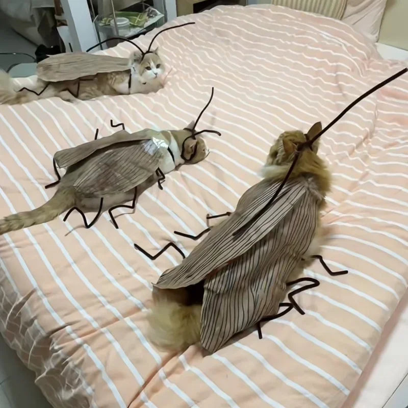 Realistic Cockroach Cat Costume with Detachable Wings - Humorous Cat Outfit for Cosplay and Dress-Up DIY Kit