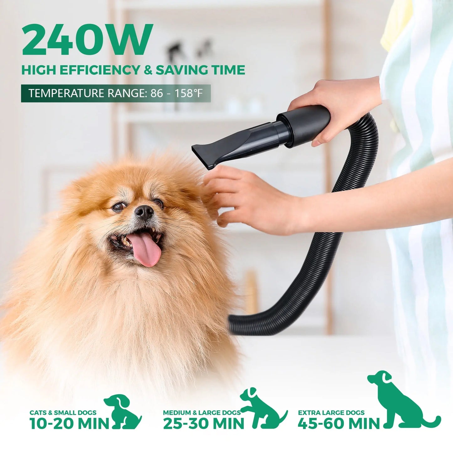 Professional Pet Grooming Hair Dryer - 2400W Portable Quick-Drying Variable-Speed Tool with 4 Adjustable Nozzles for Dogs, NOVA Model