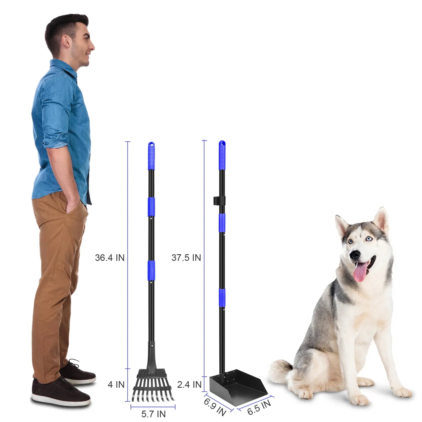 Dog Waste Management Set: Adjustable Stainless Steel Pooper Scooper Tray and Rake for All Dog Sizes