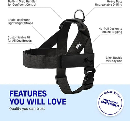 Dog Friendly Co. No-Pull Harness with D-Ring and Bungee Leash