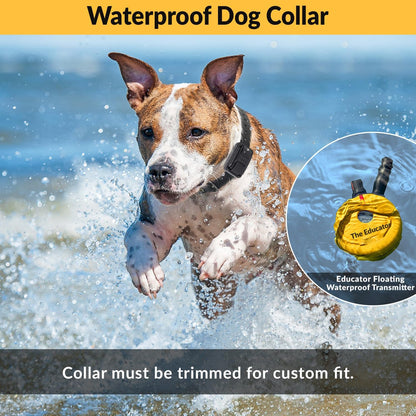 Humane Remote Dog Training Collar with 100 Safe Stimulation Levels, Night Light, Waterproof Design, Rechargeable, 3/4 Mile Range for Small to Medium Dogs - Yellow