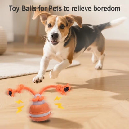 Interactive Rechargeable Rolling Ball Toy for Cats and Dogs with Faux Tail - Smart Electric Pet Training Device Mimicking Mouse Behavior