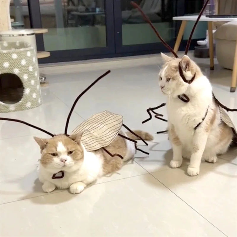 Realistic Cockroach Cat Costume with Detachable Wings - Humorous Cat Outfit for Cosplay and Dress-Up DIY Kit