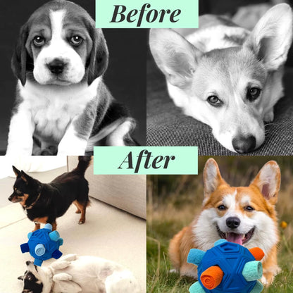 Durable Snuffle Ball for Dogs - Interactive Foraging Toy and Slow Feeder Treat Dispenser