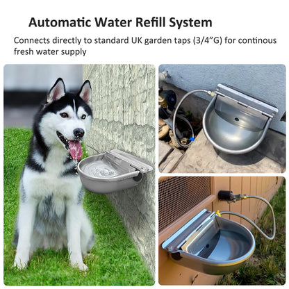 Automatic Pet Water Dispenser with Drain Plug and Hose for Convenient Refilling - Fountain Design
