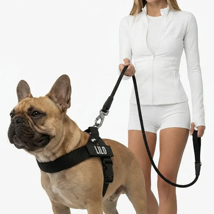 Dog Friendly Co. No-Pull Harness with D-Ring and Bungee Leash