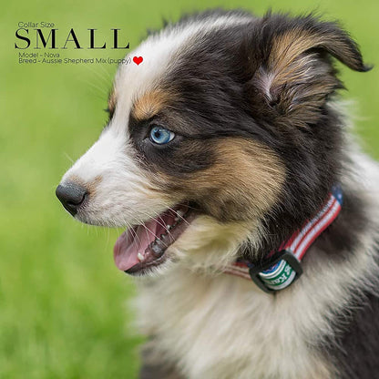 American Flag Dog Collar - Classic Design Available in Five Sizes (Small)