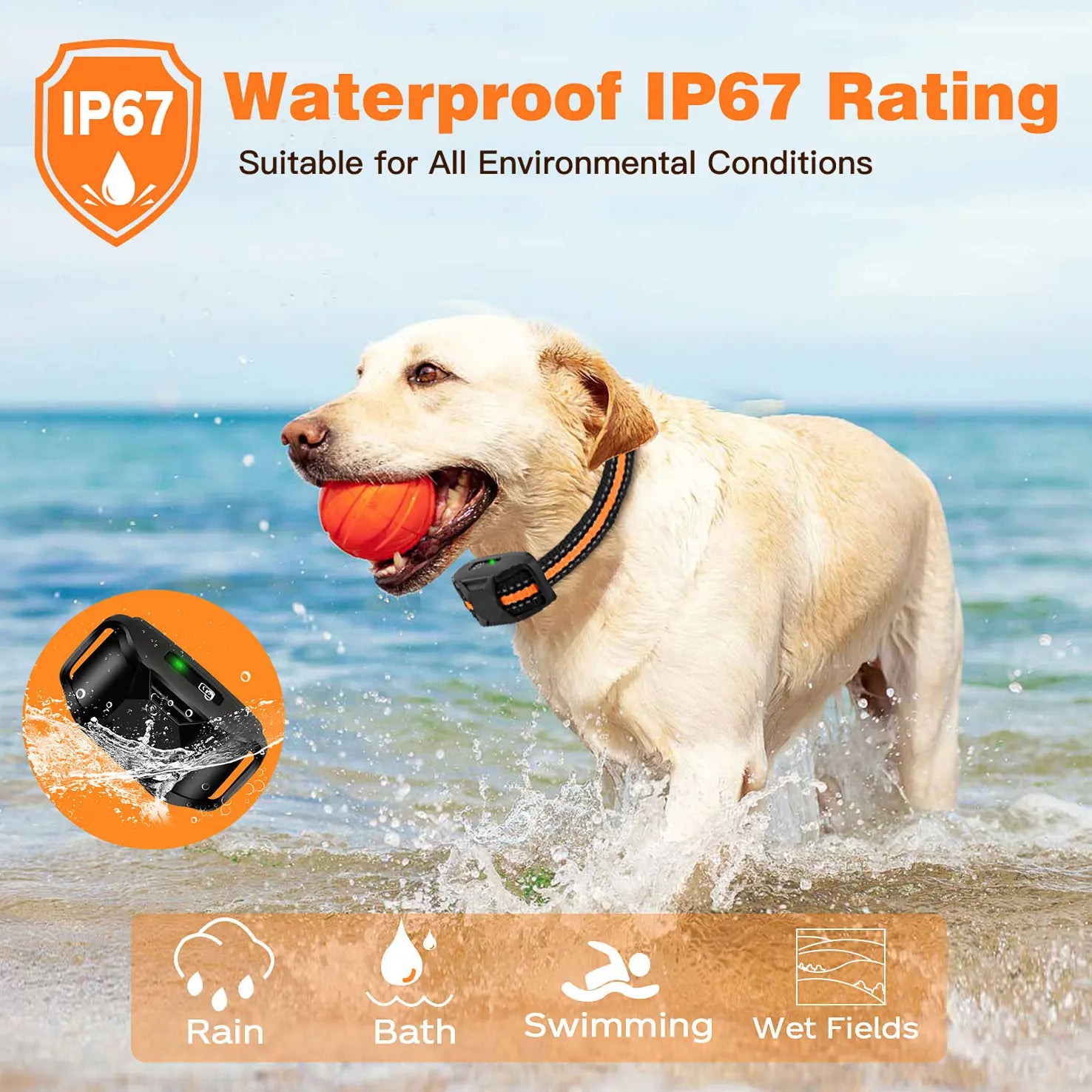 Professional Dog Training Collars with Remote Control, 3300Ft Range, Adjustable Nylon Strap, Multiple Training Modes (Beep, Vibration, Safe Shock), Rechargeable and Waterproof, Suitable for Dogs Weighing 5-150 lbs