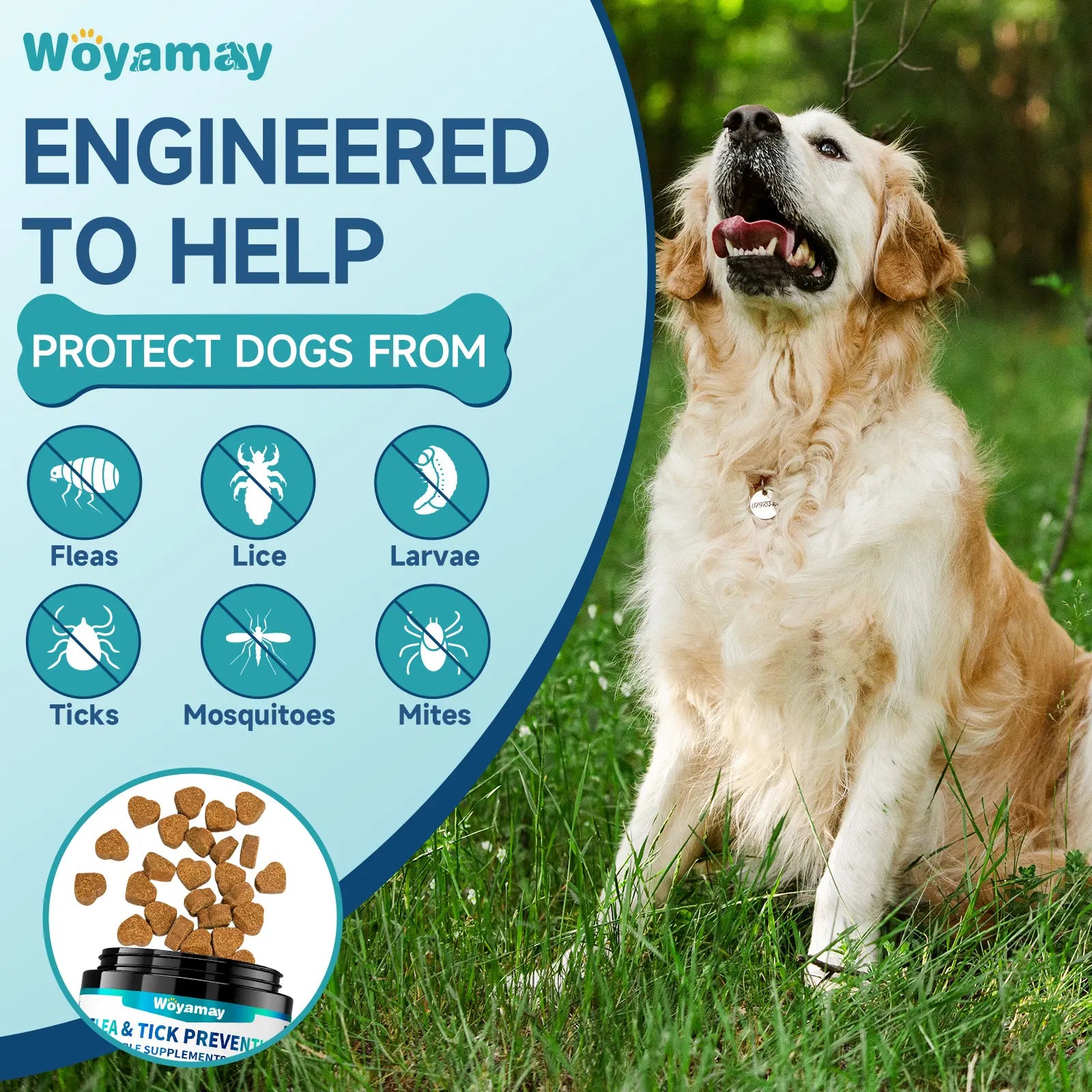 Woyamay Dog Flea and Tick Chews - 200 Count Omega-3 Enriched Natural Supplement for Daily Flea and Tick Support in Puppies of All Breeds and Sizes, Chicken Flavor