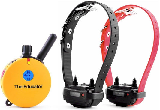 Humane Remote Dog Training Collar with 100 Safe Stimulation Levels, Night Light, Waterproof Design, Rechargeable, 3/4 Mile Range for Small to Medium Dogs - Yellow