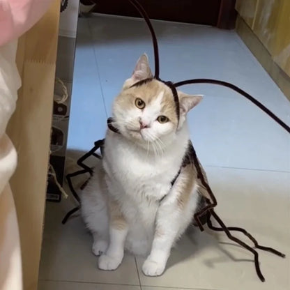 Realistic Cockroach Cat Costume with Detachable Wings - Humorous Cat Outfit for Cosplay and Dress-Up DIY Kit