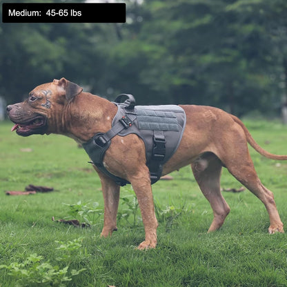 Medium Tactical Dog Harness with Dual Metal Buckles, MOLLE Vest for Working Dogs, No-Pull Front Leash Clip, and Hook and Loop Panel - Grey (Size M, Pack of 1)