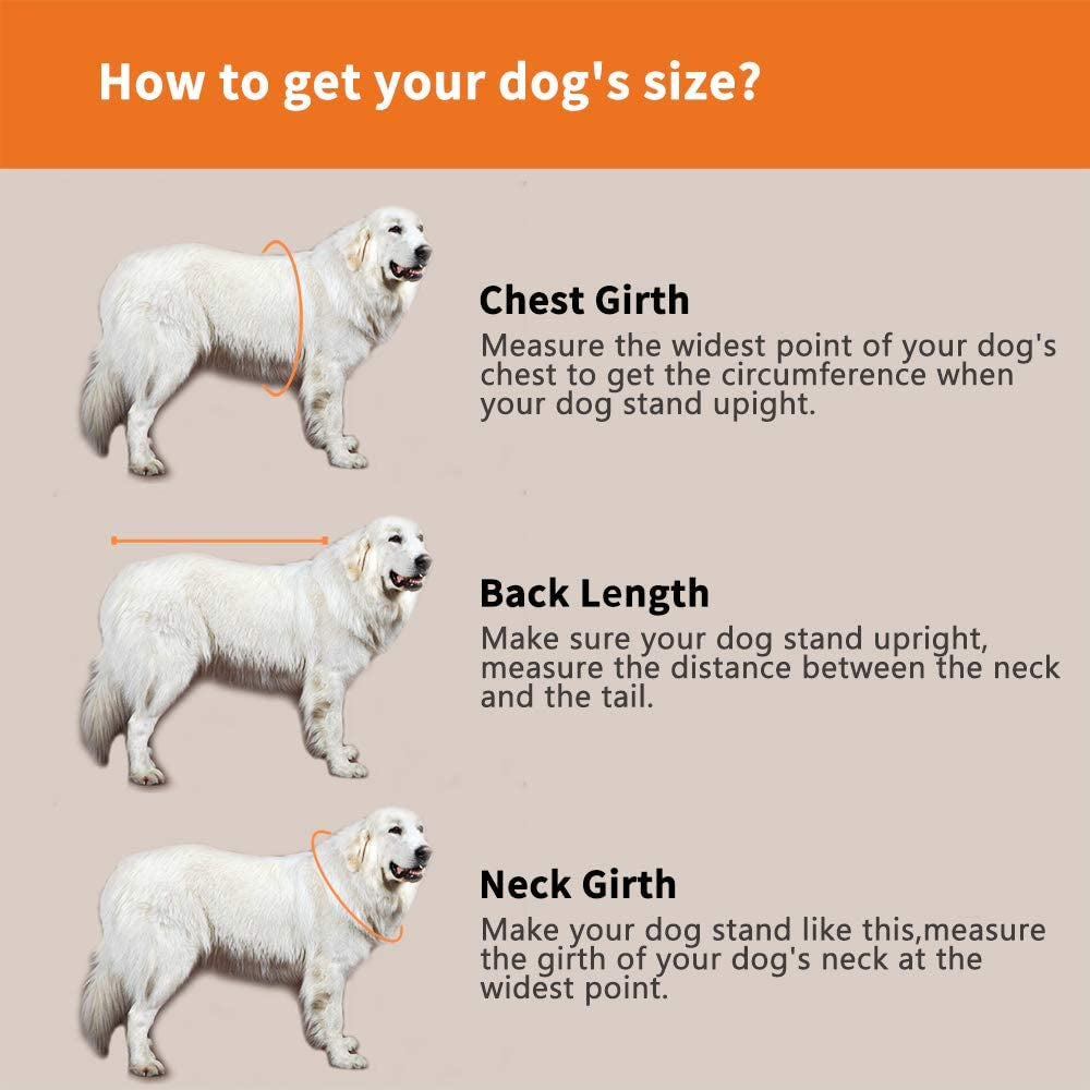 Adjustable Dog Life Jacket for Short-Nosed Breeds - Enhanced Swimming Vest (XS, Orange)