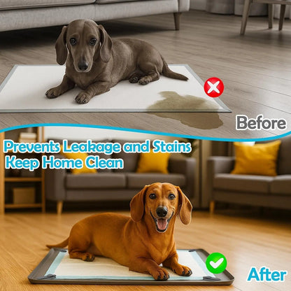 Dog Pee Pad Holder Tray - Fits Up to 36” x 23” Pads for Dogs - Durable Grip, Elevated Edges, and Easy-to-Clean Silicone Surface for Indoor Protection