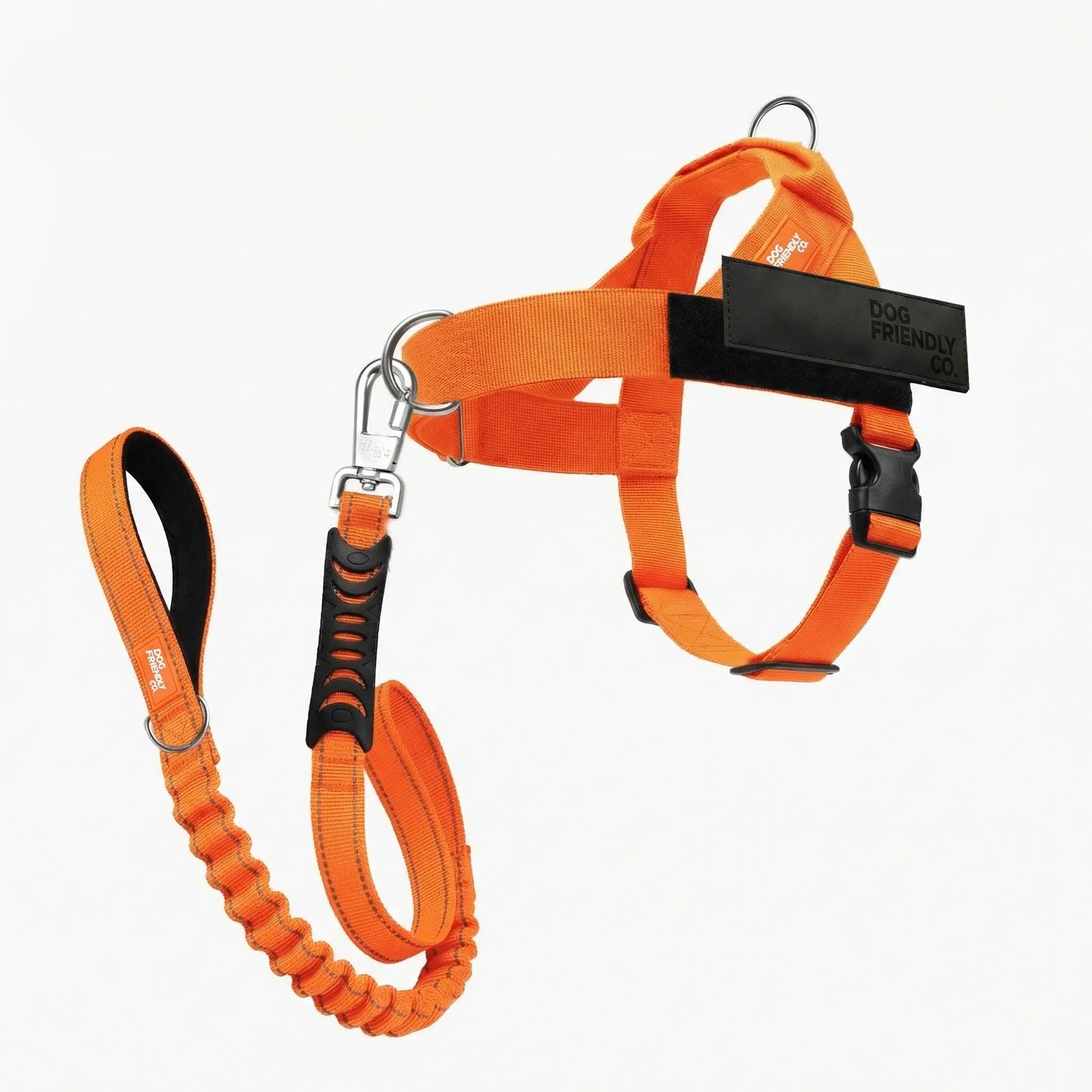 Dog Friendly Co. No-Pull Harness with D-Ring and Bungee Leash