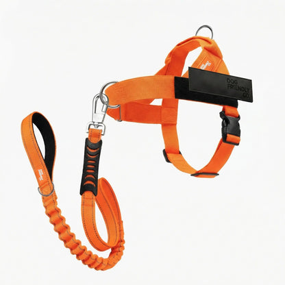 Dog Friendly Co. No-Pull Harness with D-Ring and Bungee Leash