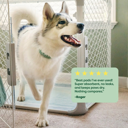 Earth Rated Max Absorbency Puppy Pee Pads - Leak-Proof, Unscented, Large (22” x 23”), 40 Count, Enhanced Odor Control and Rapid Absorption