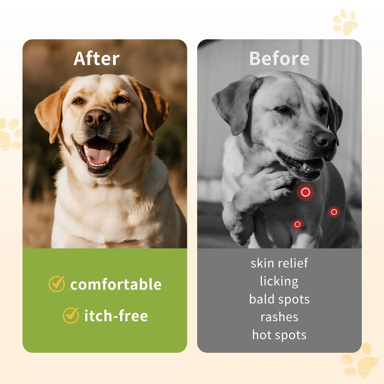 Jagy Omega-3 Allergy Relief Chews for Dogs - 120 Natural Fish Oil Treats for Itchy Skin, Hot Spots, and Shedding with Advanced Skin & Coat Vitamins for Optimal Pet Health