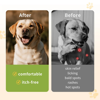 Jagy Omega-3 Allergy Relief Chews for Dogs - 120 Natural Fish Oil Treats for Itchy Skin, Hot Spots, and Shedding with Advanced Skin & Coat Vitamins for Optimal Pet Health