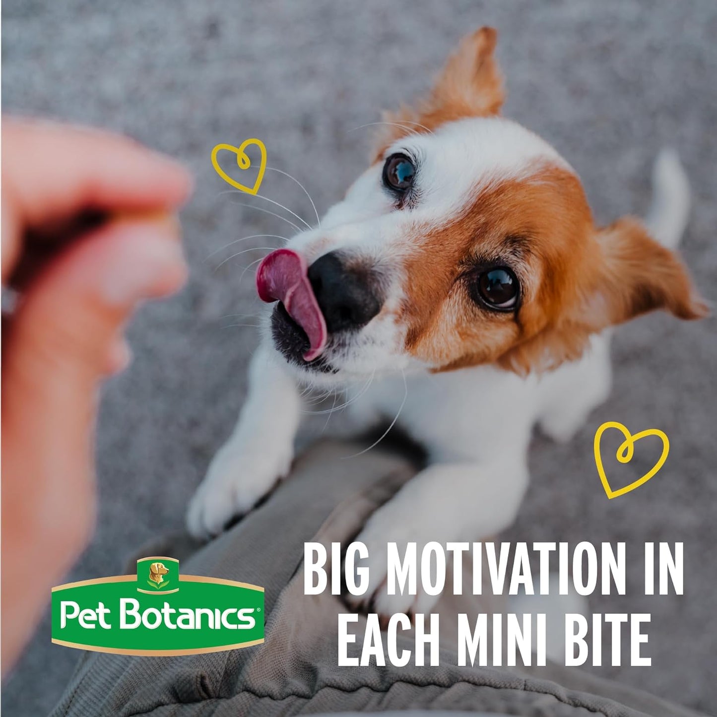 10 Oz. Pouch of Chicken Flavor Mini Soft & Chewy Training Rewards, 500 Treats per Bag, Preferred by Leading Trainers