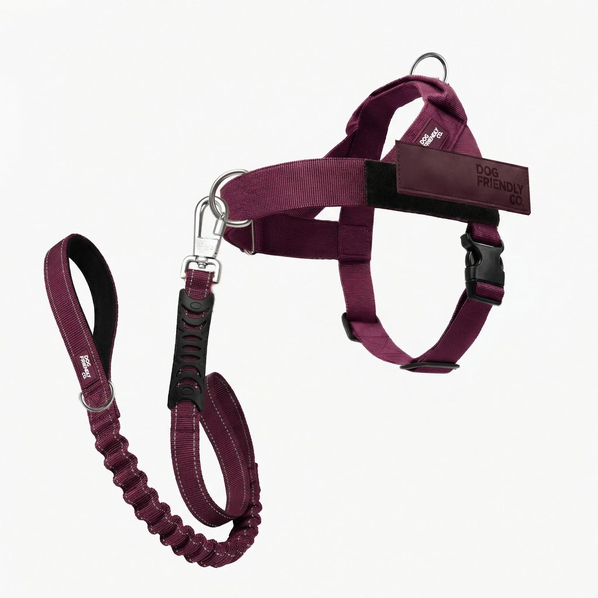 Dog Friendly Co. No-Pull Harness with D-Ring and Bungee Leash