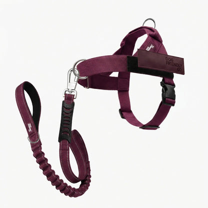 Dog Friendly Co. No-Pull Harness with D-Ring and Bungee Leash
