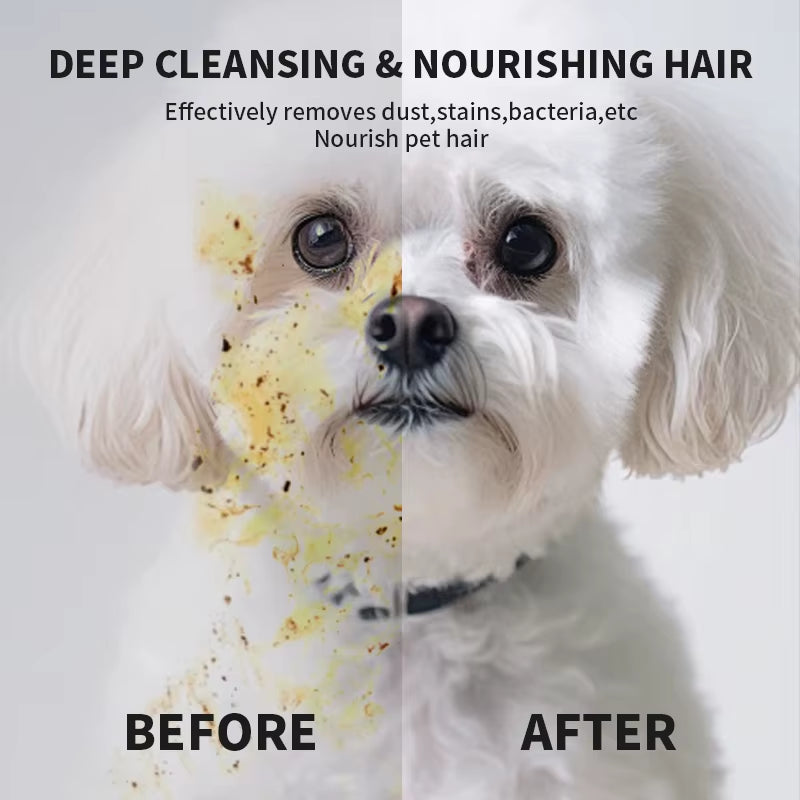 6-Piece Pet Cleaning Gloves with Deodorizing Wipes for Cats and Dogs - Gentle Wash-Free Solution