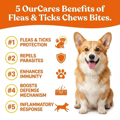 OURCARES Natural Chicken Flavor Bites Prevention Chews for Dogs - 120 Count, Plant-Based with Probiotics, Coconut Oil, and Flaxseed for All Breeds - New and Old Packaging, Random Delivery