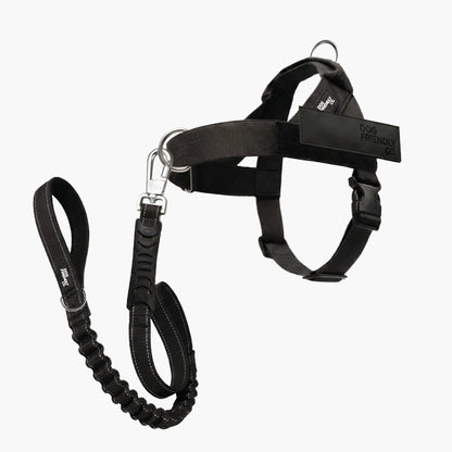 Dog Friendly Co. No-Pull Harness with D-Ring and Bungee Leash