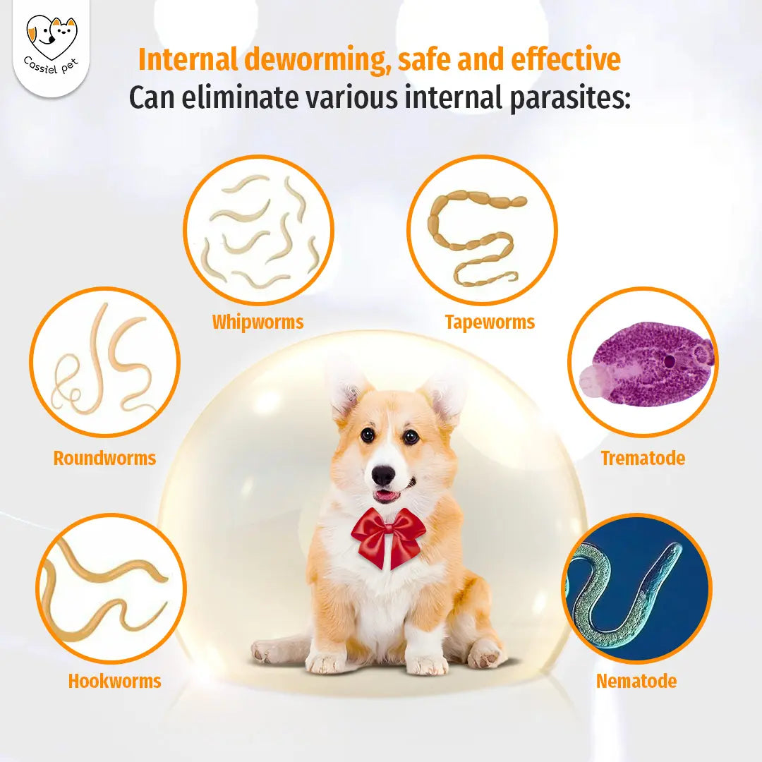 Cassicel-Pet Natural Dog Parasite Support Chews - Herbal Deworming Treats with Chicken Flavor for Digestive, Skin, and Immune Health Support